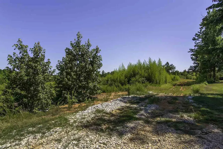 0 Roddy Road, Woodruff, SC 29388 - Image #3