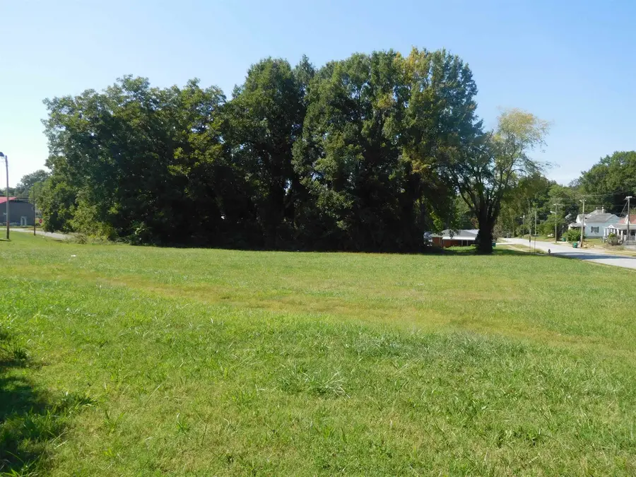 TBD N Logan St & W Robinson St, Gaffney, SC 29341 - Image #2