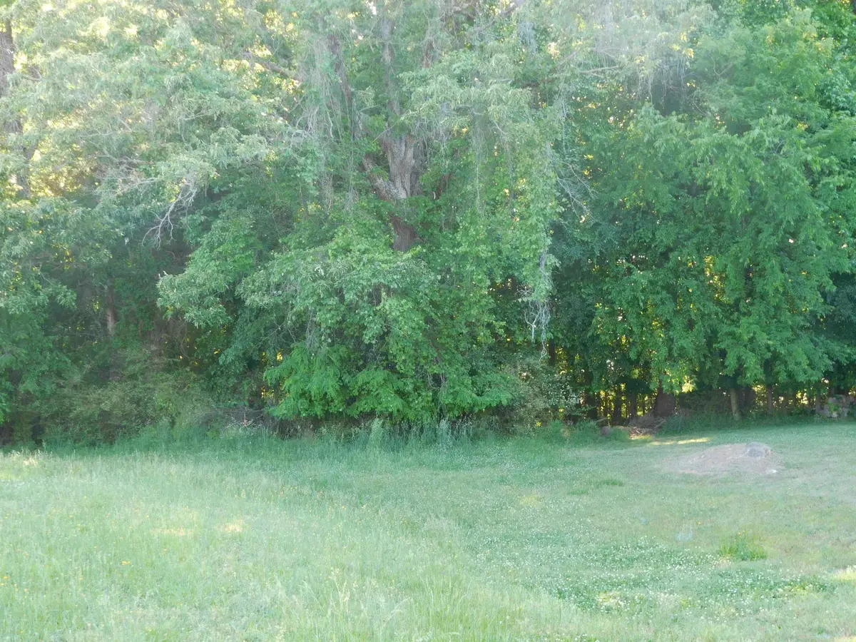 TBD Chaucer Drive, Gaffney, SC 29341 - Image #1