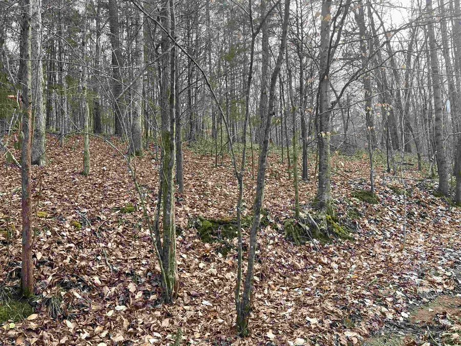 1265 N Burris, Sharon, SC 29742 - Image #2