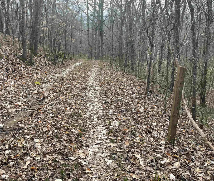 1265 N Burris, Sharon, SC 29742 - Image #3