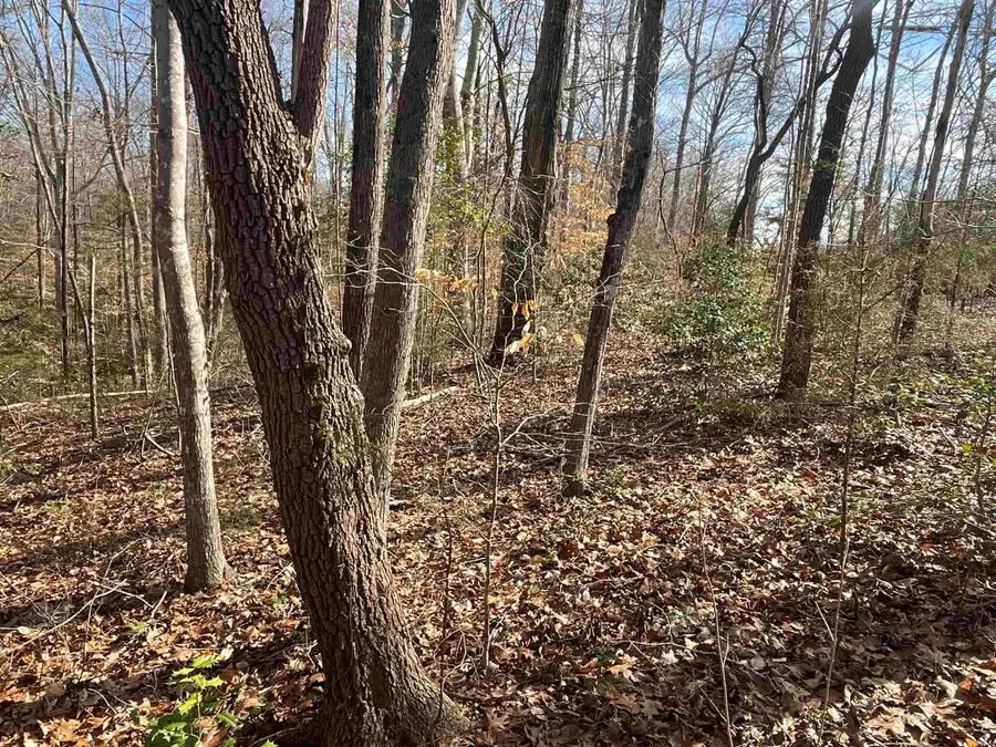 161 Little River Trail, Indian Land, SC 29720 - Image #2