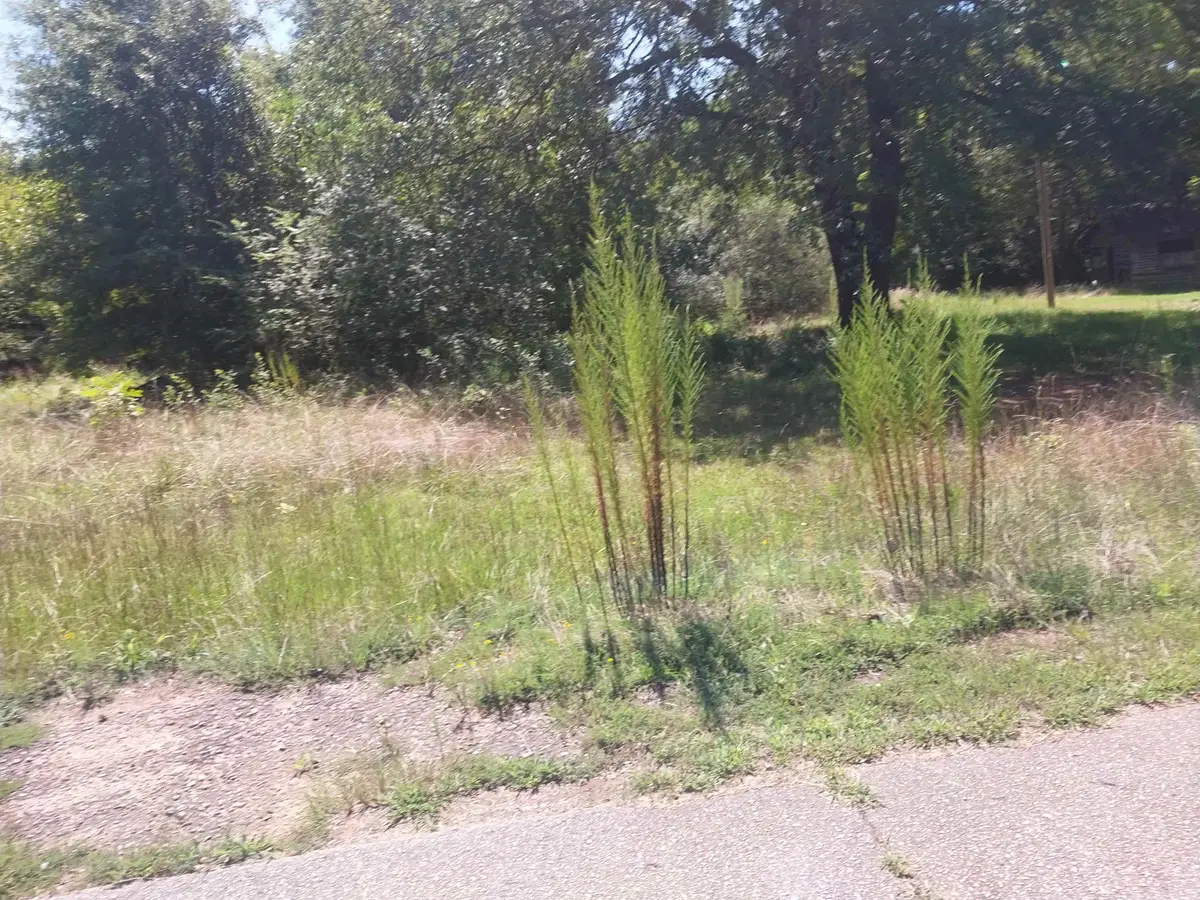 321 Irby Road, Spartanburg, SC 29301 - Image #1