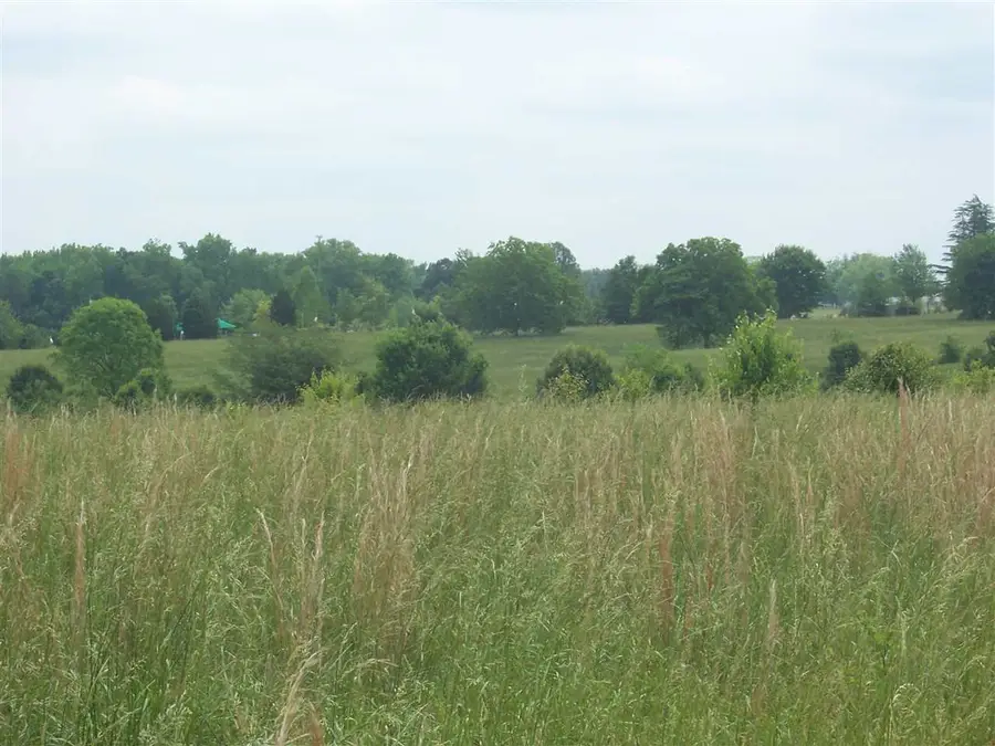 Chesnee Hwy Road, Gaffney, SC 29341 - Image #3