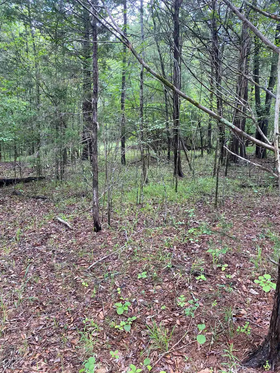 0 Old River Road, Pacolet, SC 29372 - Image #3