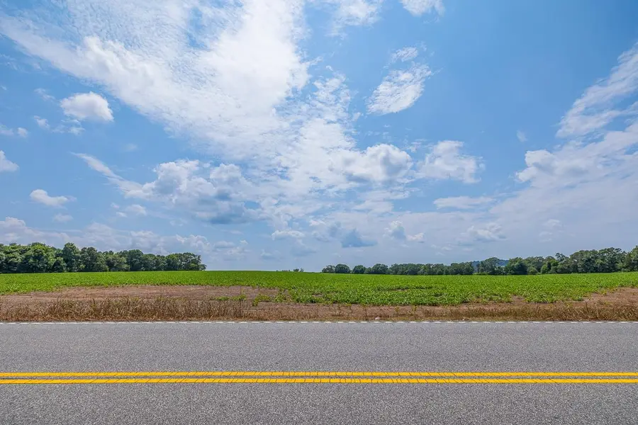 0 New Cut Road, Inman, SC 29349 - Image #3