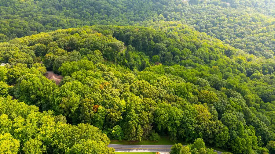 0 Plumley Summit Road, Landrum, SC 29356 - Image #3