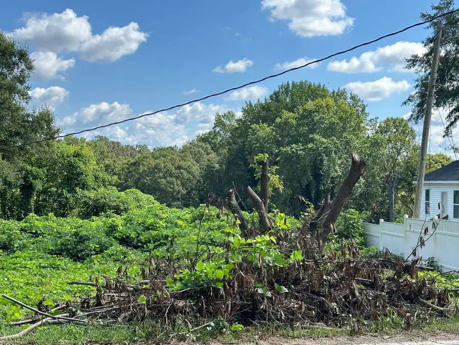 105 Williams Street, Spartanburg, SC 29301 - Image #2