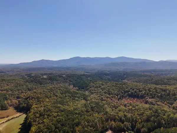 46.6 Acres Regan Jackson Road, Mill Spring, NC 28756