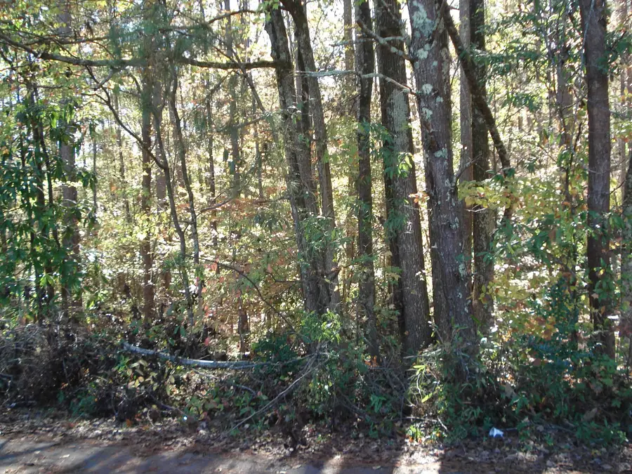 260 Eastbrook Terrace, Roebuck, SC 29376-0000 - Image #2