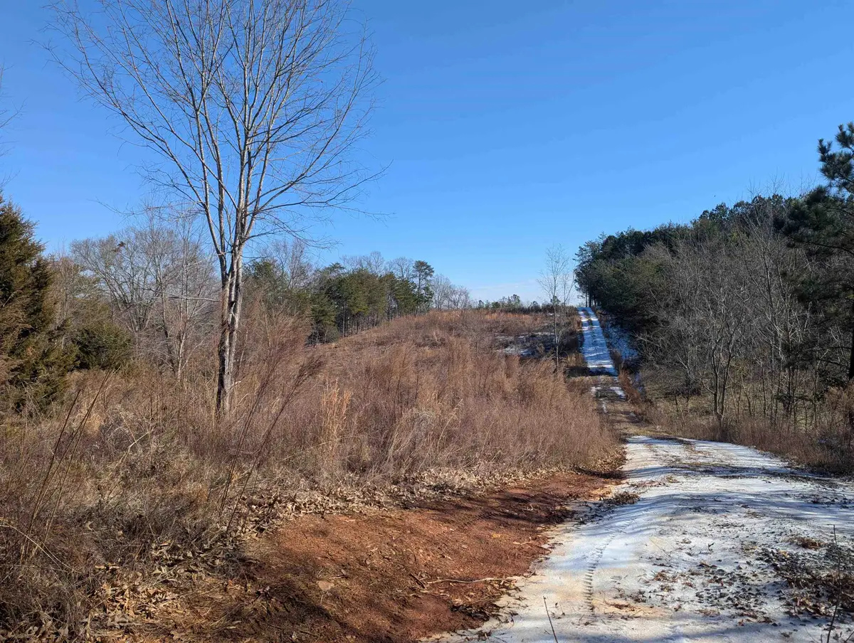 440 Old Melvin Hill Road, Campobello, SC 29322 - Image #1