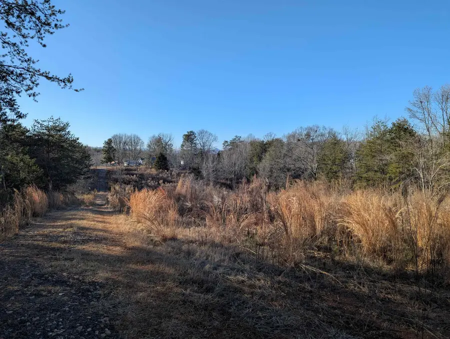 440 Old Melvin Hill Road, Campobello, SC 29322 - Image #2