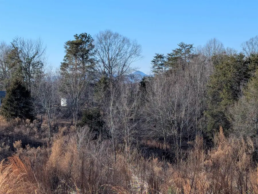 440 Old Melvin Hill Road, Campobello, SC 29322 - Image #3