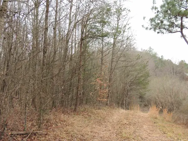 Lister Road, Greer, SC 29651