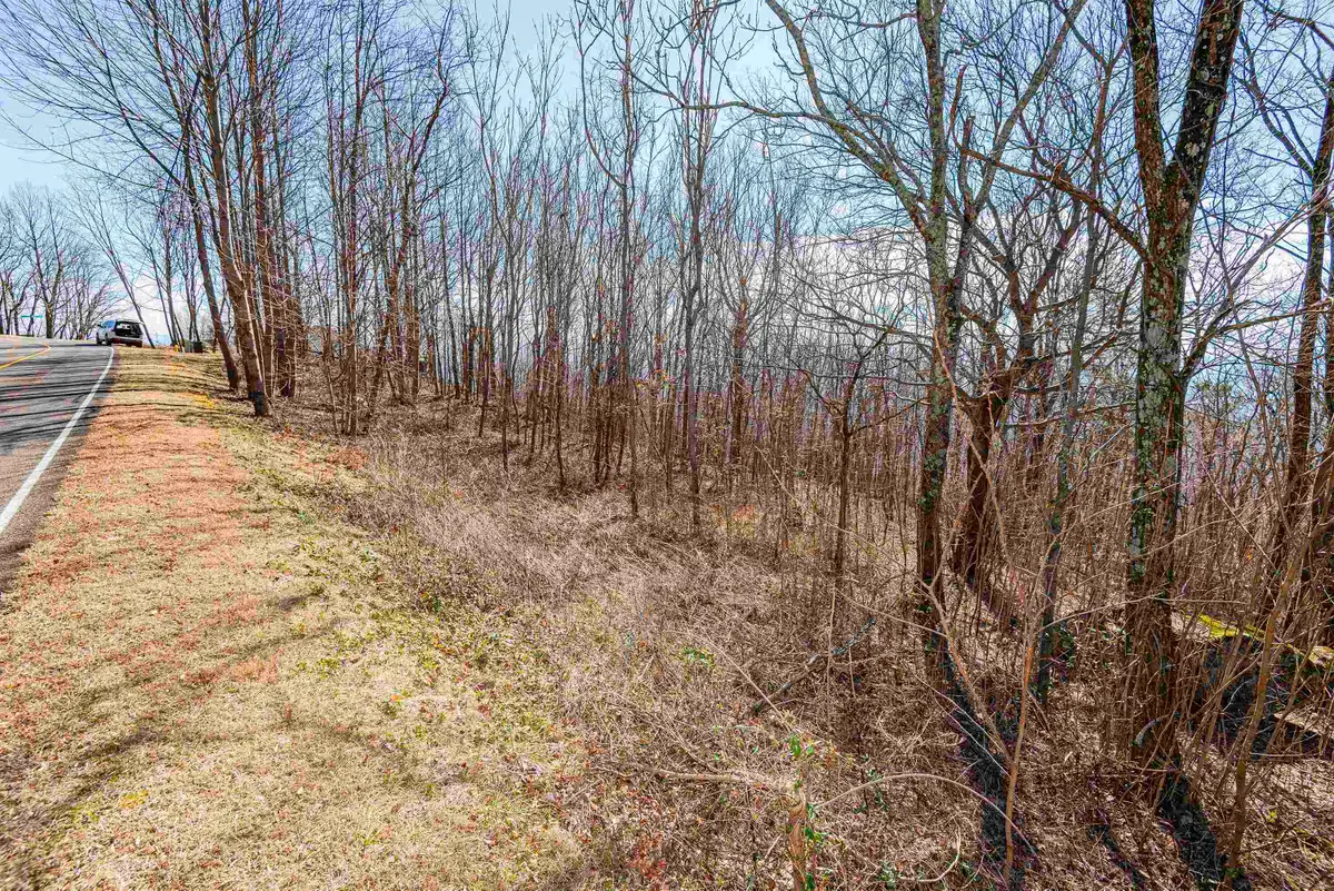 116 May Apple Way, Landrum, SC 29356 - Image #1