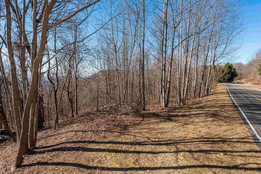 116 May Apple Way, Landrum, SC 29356 - Image #2