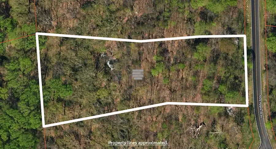 116 May Apple Way, Landrum, SC 29356 - Image #3