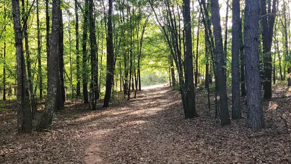 1013 Rogers Bridge Road, Duncan, SC 29334