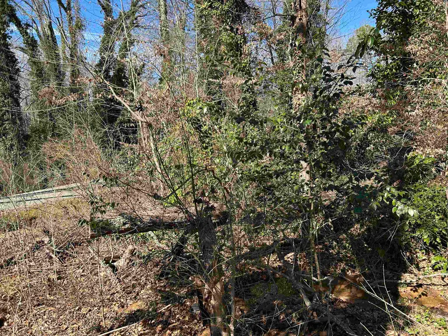 Lot 46 Forest Hills Drive, Gaffney, SC 29340 - Image #2