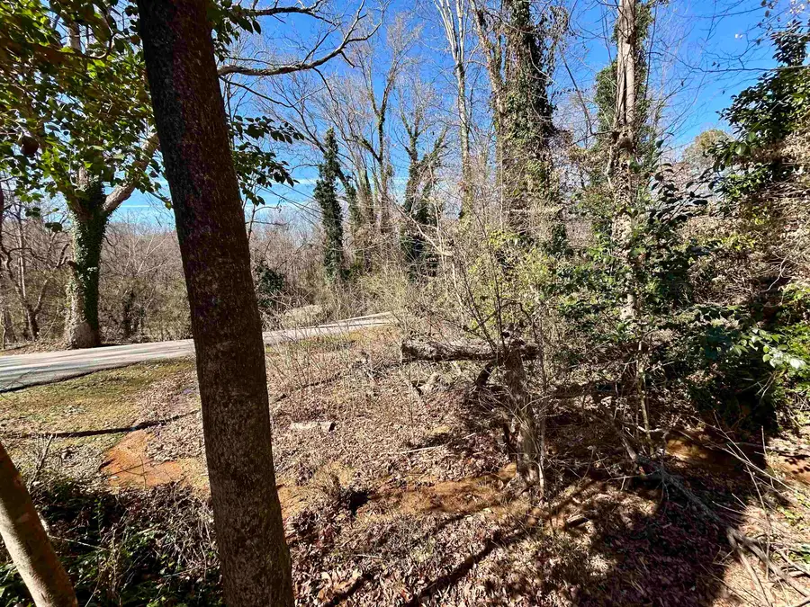 Lot 46 Forest Hills Drive, Gaffney, SC 29340 - Image #3