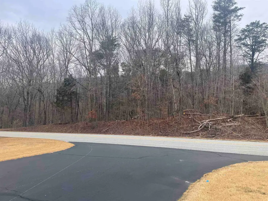 00 Highway 11, Landrum, SC 29356 - Image #3