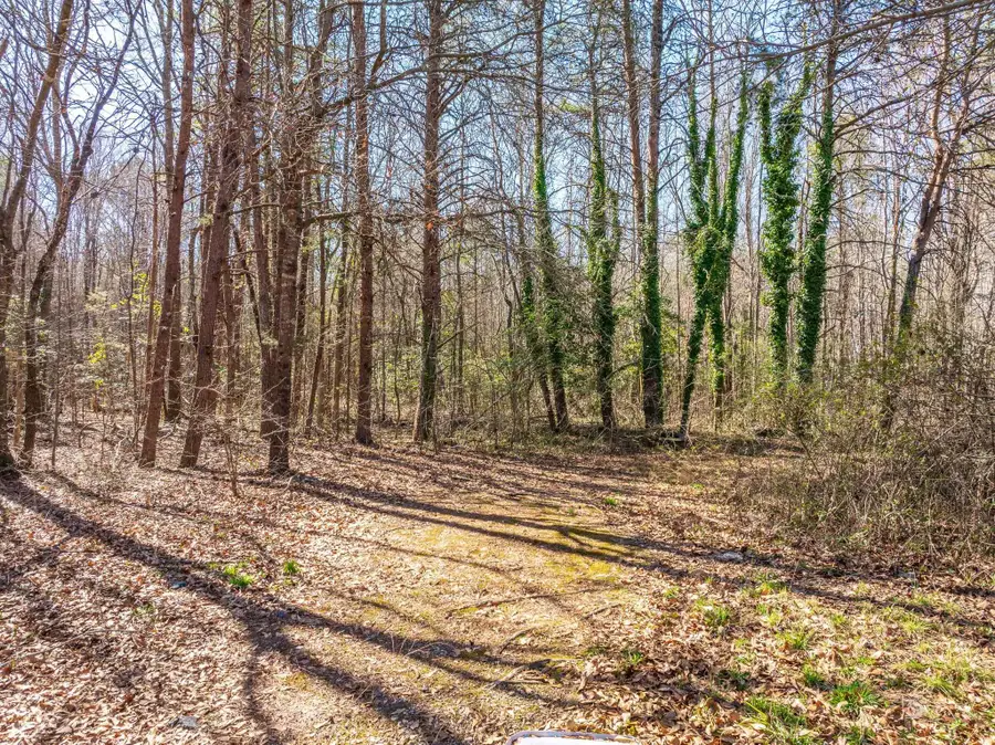 0 Brown Sanders Rd, Spartanburg, SC 29307 - Image #2