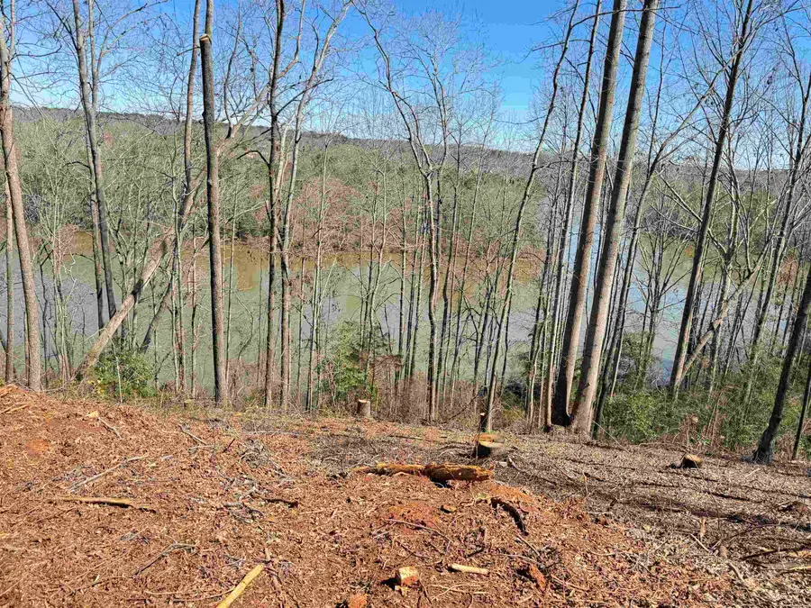 712 Buck Creek Rd, Chesnee, SC 29323 - Image #3