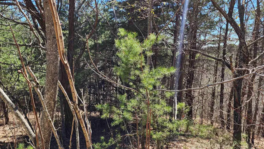 320 Foggy Cut Lane, Landrum, SC 29356 - Image #2