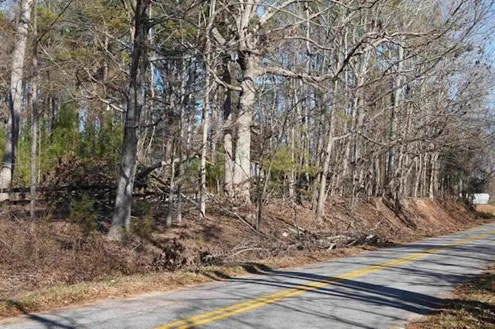 1717 Mount Shoals Road, Woodruff, SC 29388 - Image #2