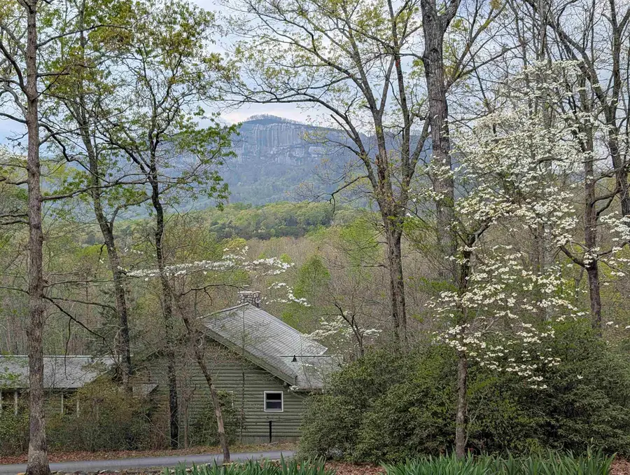 116 Dorothy Lane, Pickens, SC 29671 - Image #3