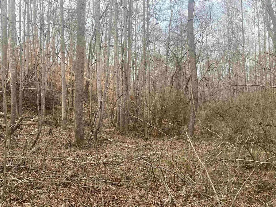 167 Rockingham Road, Duncan, SC 29334 - Image #3