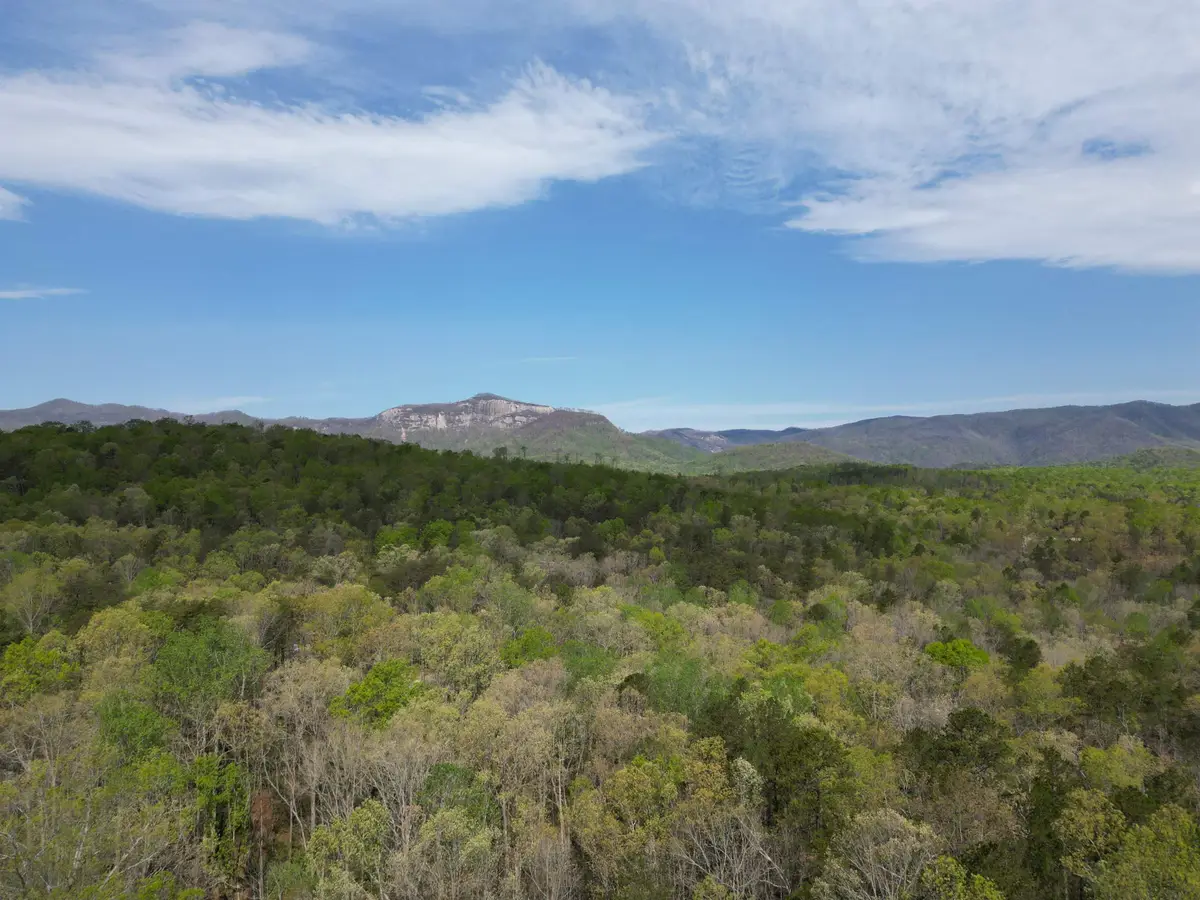 0 Pumpkintown Hwy 8 Tract A Highway, Pickens, SC 29671 - Image #1