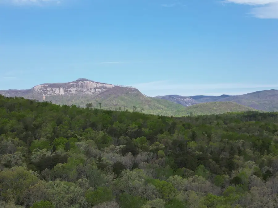 0 Pumpkintown Hwy 8 Tract A Highway, Pickens, SC 29671 - Image #2