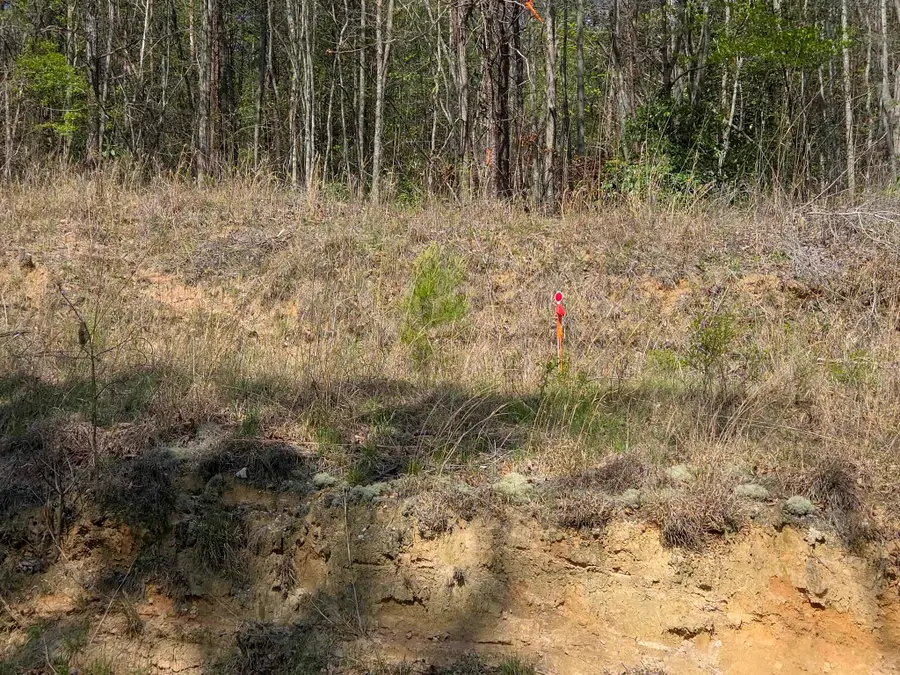 0 Pumpkintown Hwy 8 Tract A Highway, Pickens, SC 29671 - Image #3