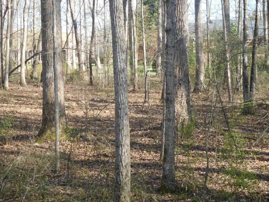 0 Hampton Drive, Gaffney, SC 29341 - Image #3