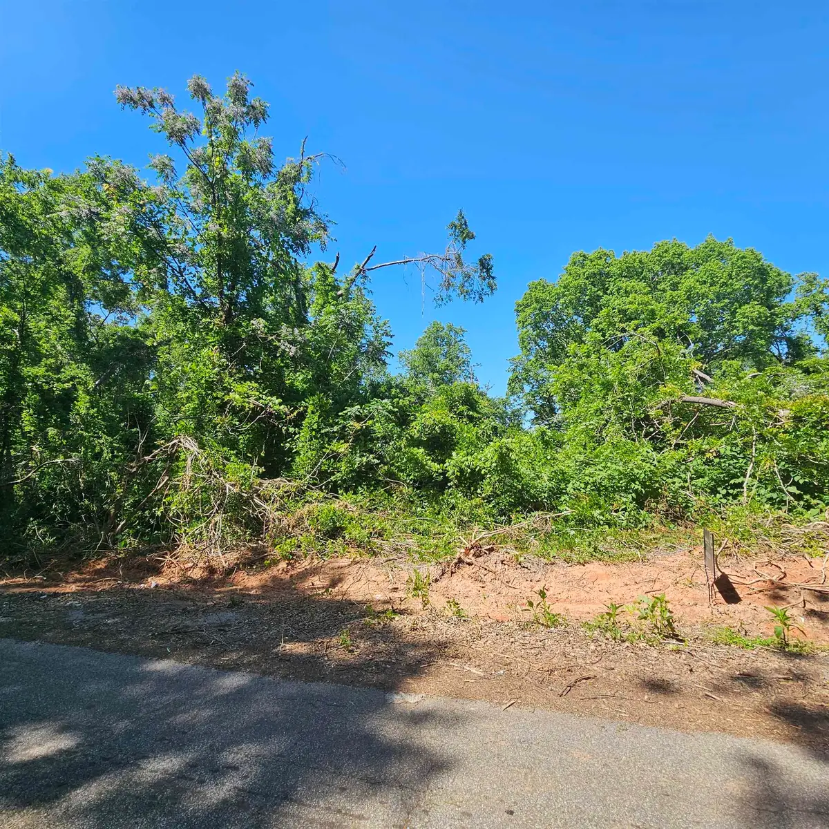 0 Ice House Road, Enoree, SC 29335 - Image #1