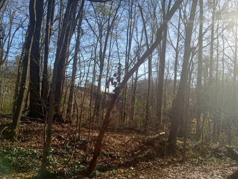 00 Broadview Drive, Spartanburg, SC 29303 - Image #2