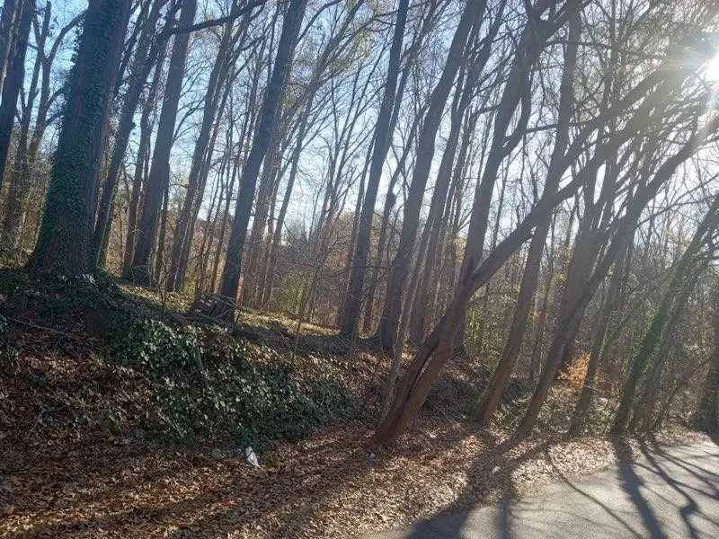 00 Broadview Drive, Spartanburg, SC 29303 - Image #3