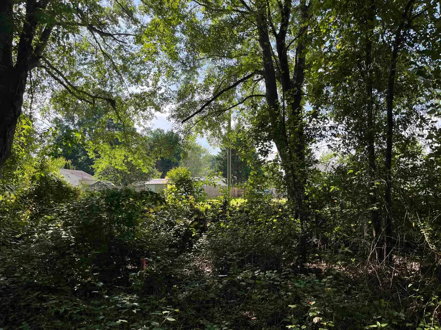 00 Lake Vista Drive, Lyman, SC 29365 - Image #2