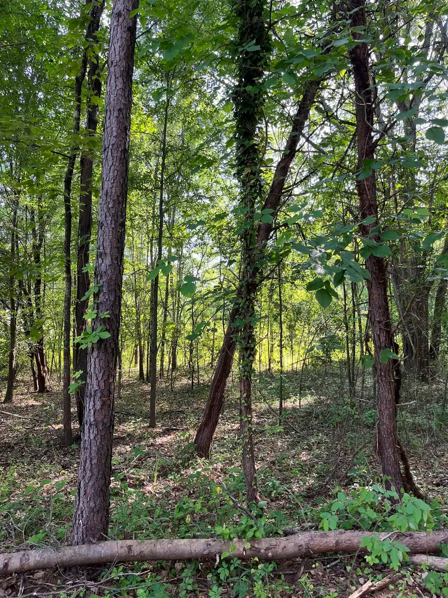 00 Lake Vista Drive, Lyman, SC 29365 - Image #3