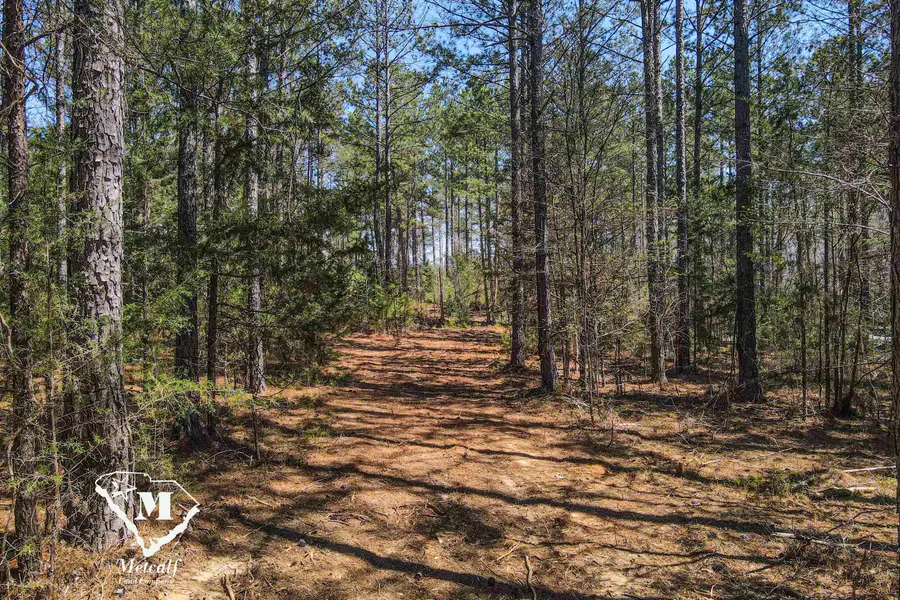 0 Asbury Road, Pacolet, SC 29372 - Image #2