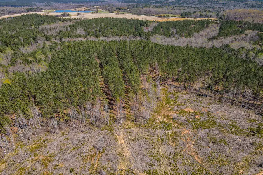 0 Asbury Road, Pacolet, SC 29372 - Image #3