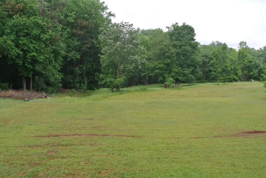 Canaan Church Road, Spartanburg, SC 29306 - Image #2