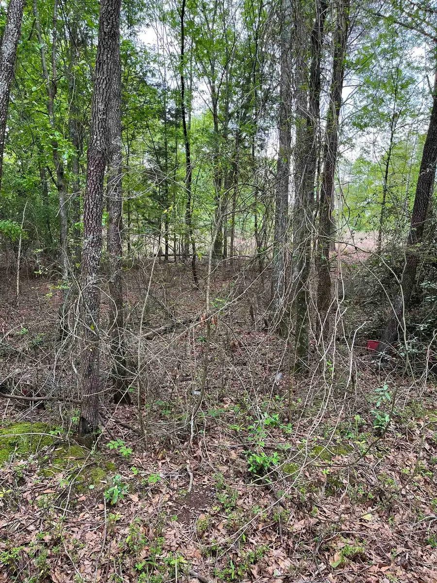 250 Leeds Lane, Spartanburg, SC 29307 - Image #3