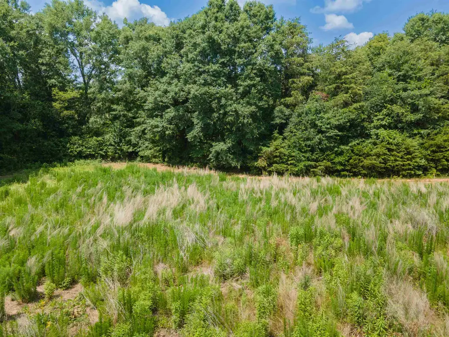 00B Cooley Springs School Road, Chesnee, SC 29323-9161 - Image #3