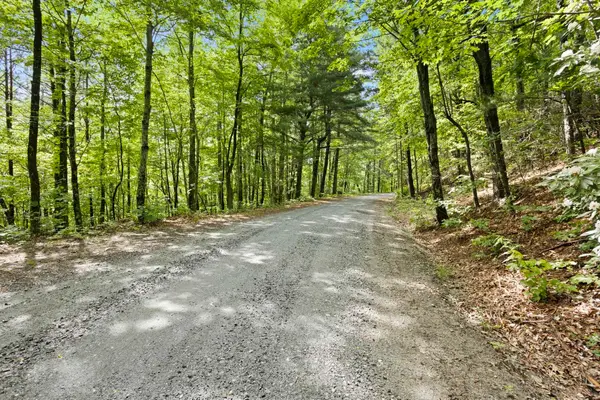 430 Lakeview Drive, Saluda, NC 28773