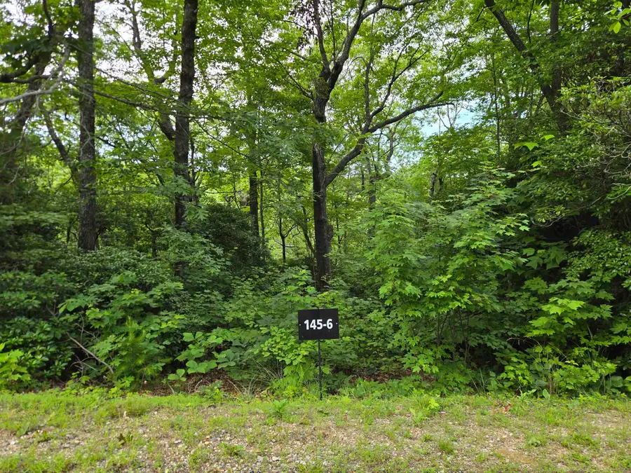 0 Snap Dragon Way, Landrum, SC 29356 - Image #2