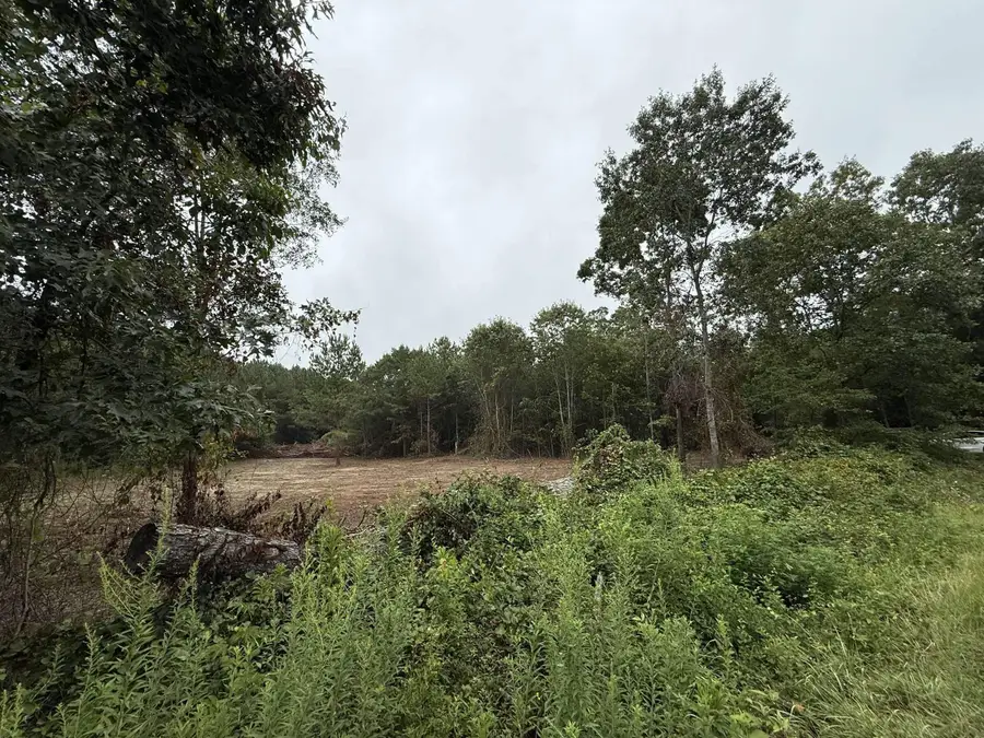 229 Holly Drive, Chesnee, SC 29323 - Image #2