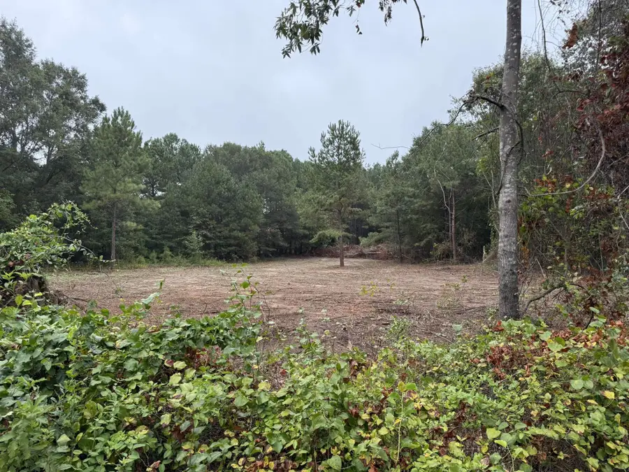 229 Holly Drive, Chesnee, SC 29323 - Image #3