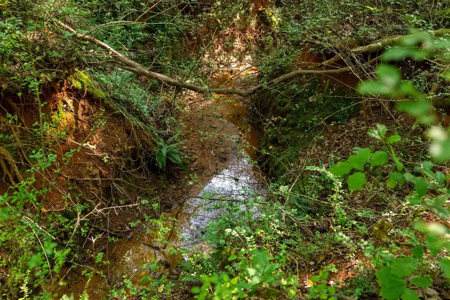 7004 Mountain View Road, Taylors, SC 29687 - Image #2